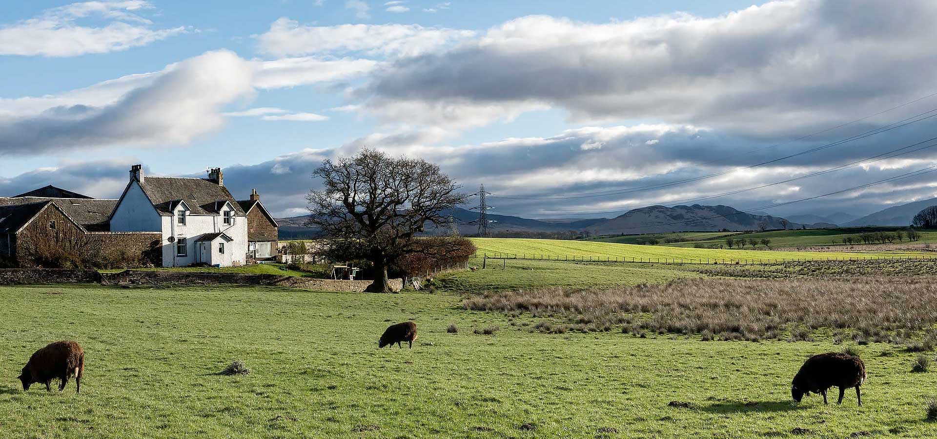 http://A%20rural%20broadband%20delivered%20to%20homes%20in%20the%20countryside